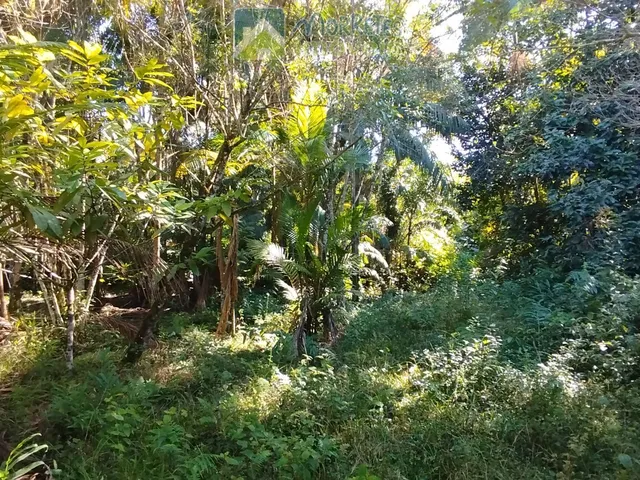 Imagem 5: ?? EXCELENTE CHÁCARA COM CASA, BARRACÃO E POMAR PRODUTIVO EM MORRETES/PR ??
