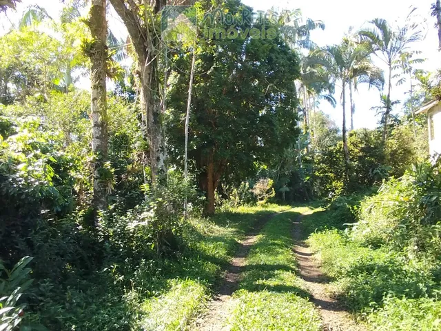 Imagem 6: ?? EXCELENTE CHÁCARA COM CASA, BARRACÃO E POMAR PRODUTIVO EM MORRETES/PR ??