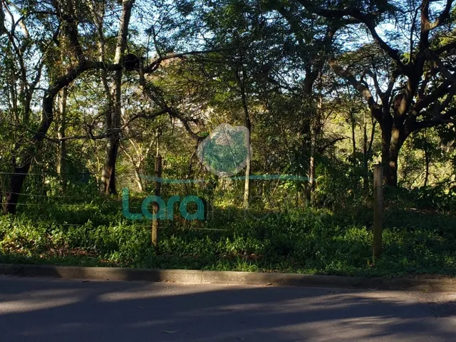 Imagem: Área em Granja dos Cavaleiros - Macaé