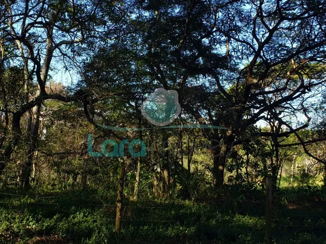 Imagem 4: Área em Granja dos Cavaleiros - Macaé, RJ