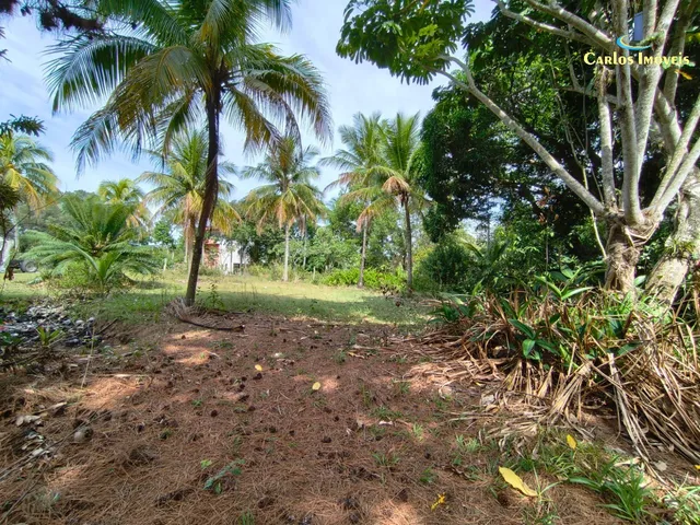 Imagem 14: CHACARA RURAL em GUARAPARI - ES, COMUNIDADE URBANA DE JABOTICABA