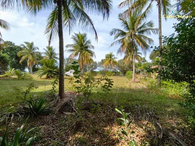 Imagem 12: CHACARA RURAL em GUARAPARI - ES, COMUNIDADE URBANA DE JABOTICABA