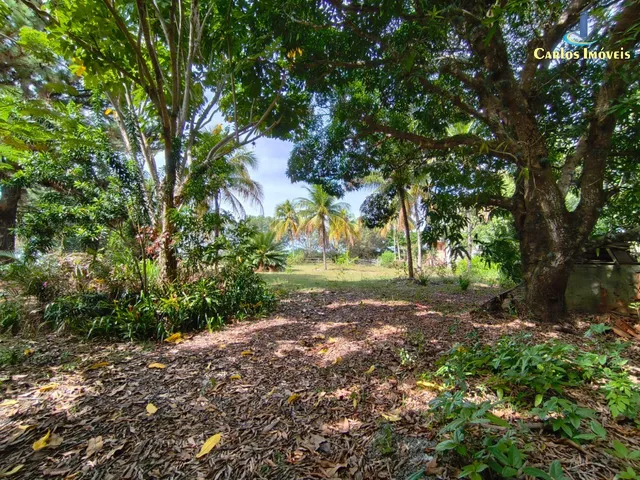 Imagem 2: CHACARA RURAL em GUARAPARI - ES, COMUNIDADE URBANA DE JABOTICABA