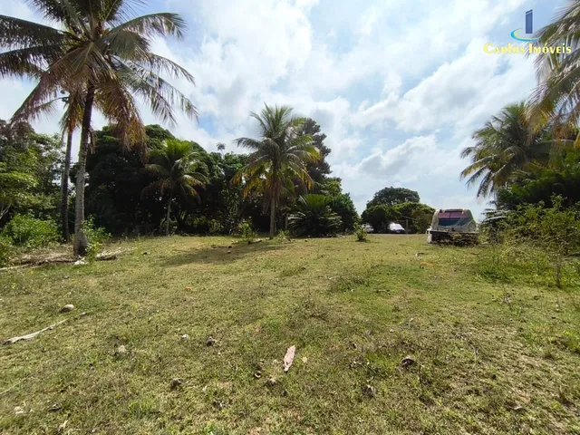 Imagem 3: CHACARA RURAL em GUARAPARI - ES, COMUNIDADE URBANA DE JABOTICABA