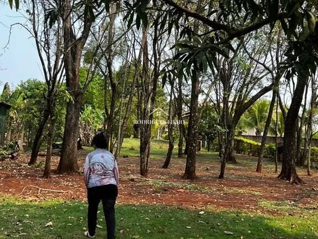 Imagem 11: Chácara na Represa CAPIVARA em Alvorada do Sul/PR