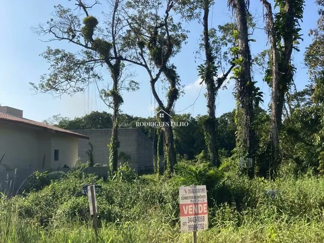 Imagem 2: Terreno em São Jose, Itapoá/SC