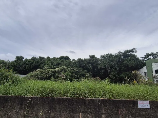 Imagem: Terreno Plano na Forquilhas