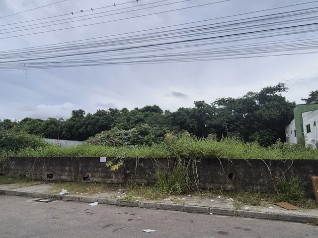 Imagem 3: Terreno Plano na Forquilhas