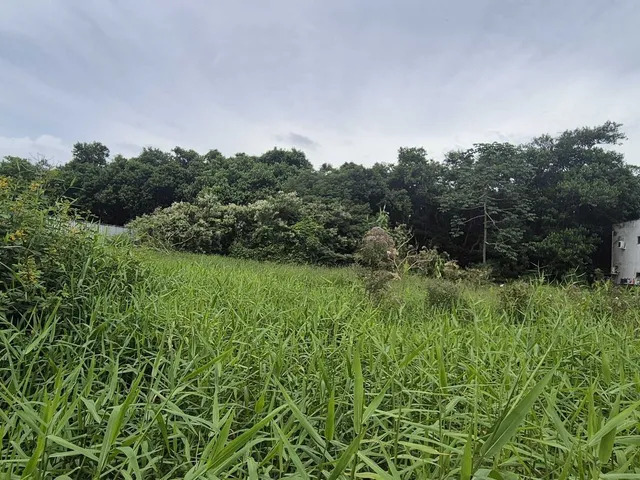Imagem 4: Terreno Plano na Forquilhas