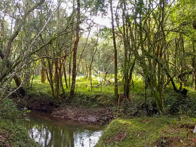 Imagem 14: Belíssima Chácara Sem Benfeitorias