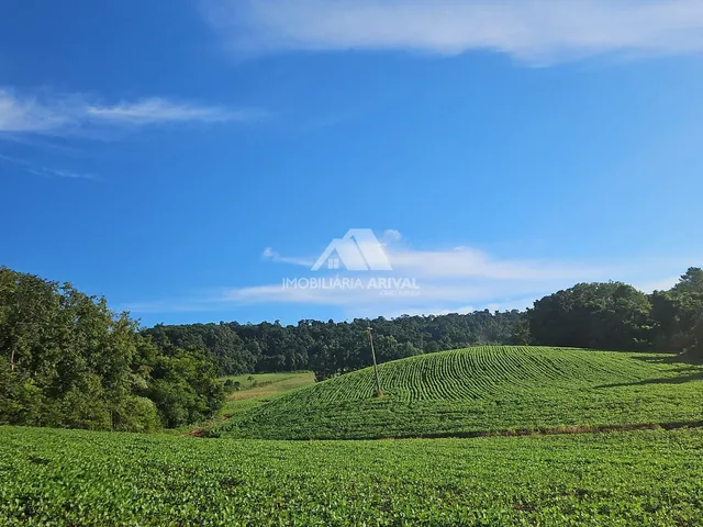 Imagem: ÁREA DE TERRA LINHA RODEIO BONITO