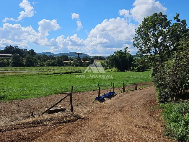 Imagem 4: ÁREA DE TERRA LINHA RODEIO BONITO