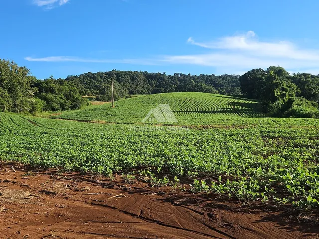 Imagem 5: ÁREA DE TERRA LINHA RODEIO BONITO