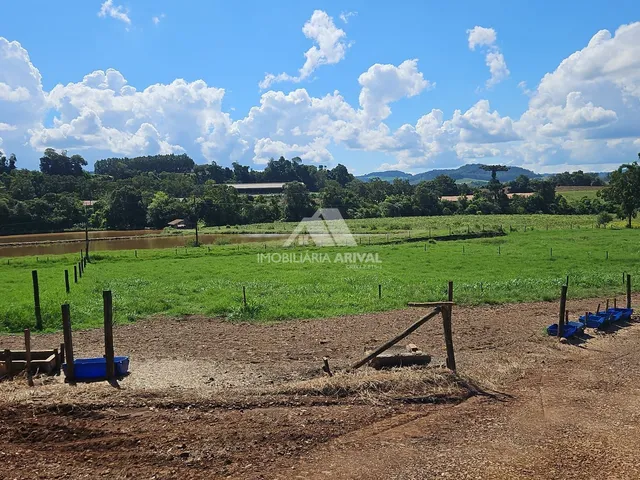 Imagem 3: ÁREA DE TERRA LINHA RODEIO BONITO
