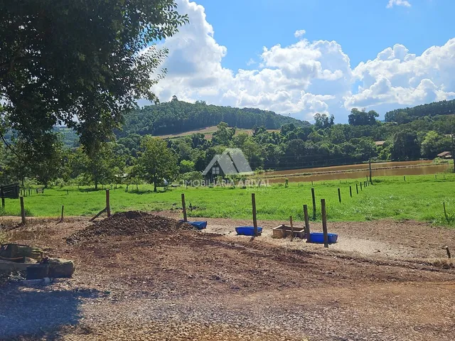 Imagem 9: ÁREA DE TERRA LINHA RODEIO BONITO