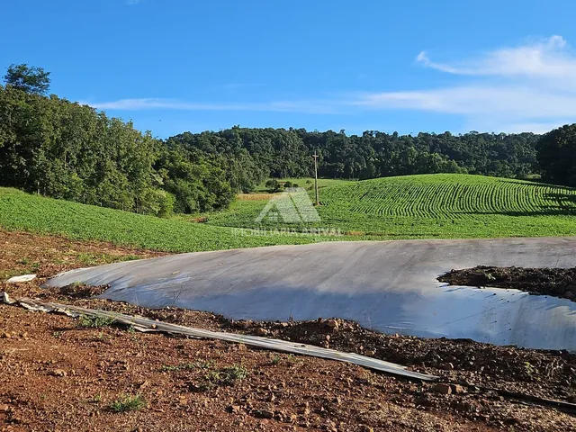 Imagem 10: ÁREA DE TERRA LINHA RODEIO BONITO