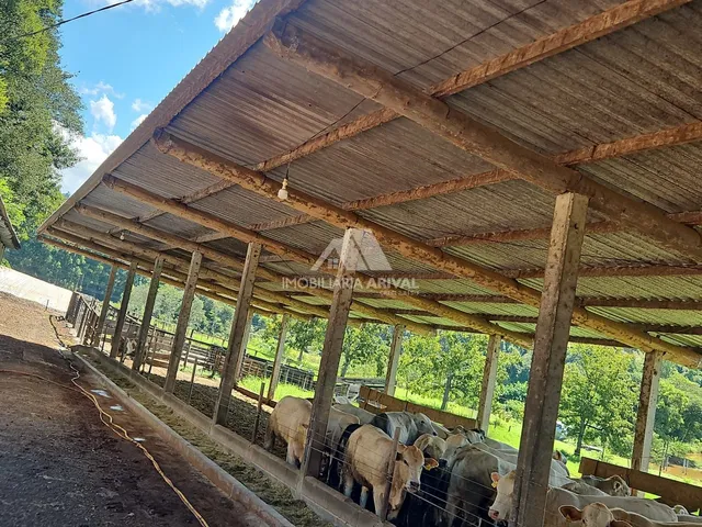 Imagem 2: ÁREA DE TERRA LINHA RODEIO BONITO