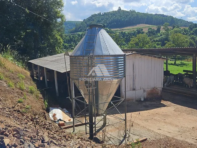Imagem 13: ÁREA DE TERRA LINHA RODEIO BONITO