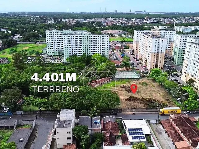 Imagem 3: ÁREA À VENDA | CHÁCARA PARREIRAL