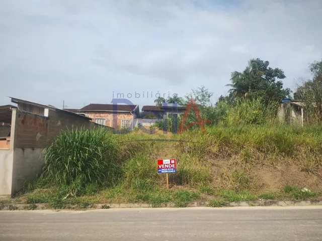 Imagem 16: LOTEAMENTO ARATINGA - ARAQUARI