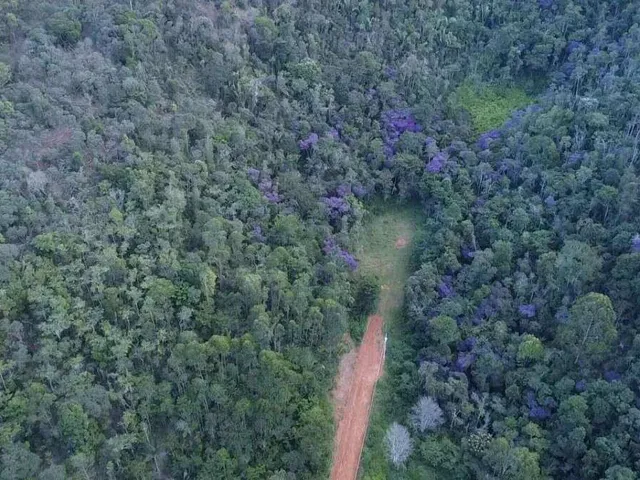 Imagem 3: Chácara à venda em Antônio Dias, Cocais, 1500m²