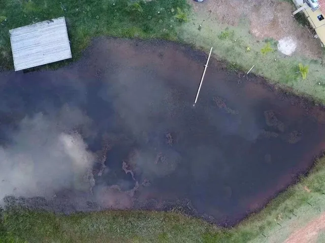 Imagem 10: Chácara à venda em Antônio Dias, Cocais, 1500m²