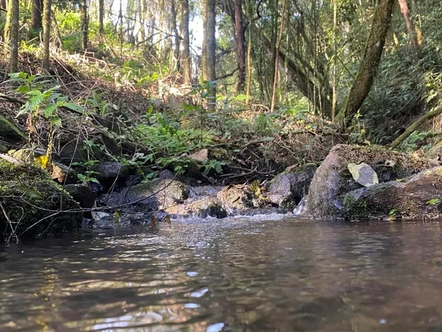 Imagem: TERRENO RURAL em CAMPO ALEGRE - SC, Serrinha