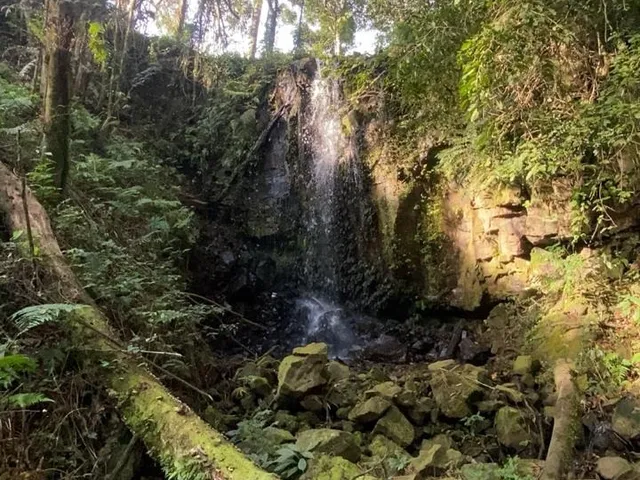 Imagem 8: TERRENO RURAL em CAMPO ALEGRE - SC, Serrinha