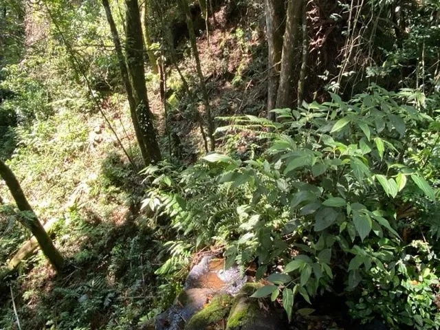 Imagem 11: TERRENO RURAL em CAMPO ALEGRE - SC, Serrinha