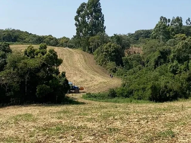 Imagem: TERRENO RURAL em CAMPO ALEGRE - SC, Serrinha