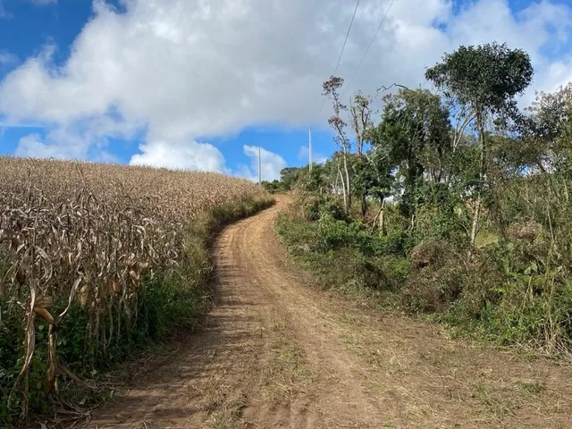 Imagem 7: TERRENO RURAL em CAMPO ALEGRE - SC, Serrinha
