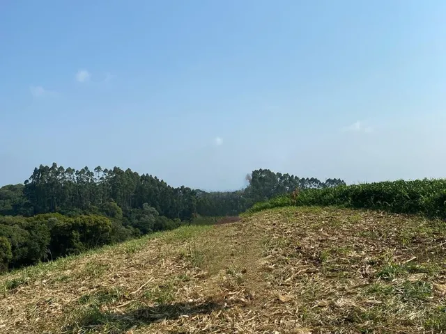 Imagem 9: TERRENO RURAL em CAMPO ALEGRE - SC, Serrinha