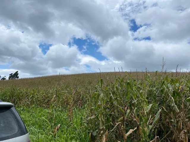 Imagem 10: TERRENO RURAL em CAMPO ALEGRE - SC, Serrinha