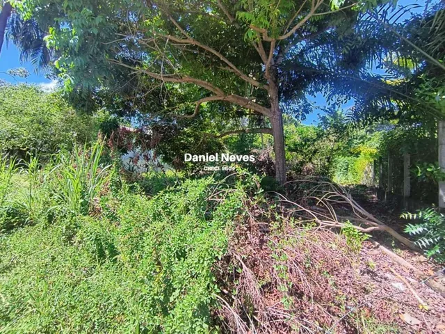 Imagem 10: Terreno em Condomínio para Venda em Camaçari, Busca Vida (Abrantes