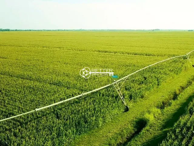Imagem 8: FAZENDA BEIRA DO RIO SÃO FRANCISCO 10.500 HA - NORTE DE MINAS/MG
