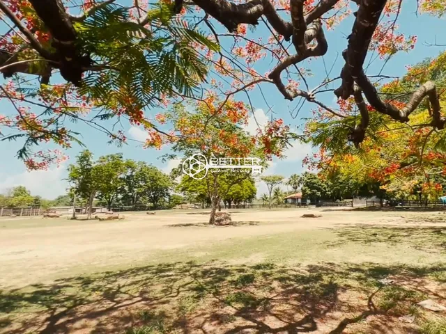 Imagem 6: FAZENDA BEIRA DO RIO SÃO FRANCISCO 10.500 HA - NORTE DE MINAS/MG