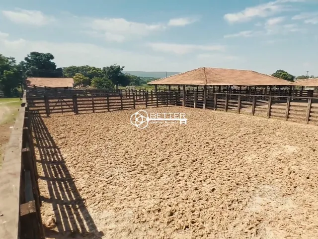 Imagem 7: FAZENDA BEIRA DO RIO SÃO FRANCISCO 10.500 HA - NORTE DE MINAS/MG