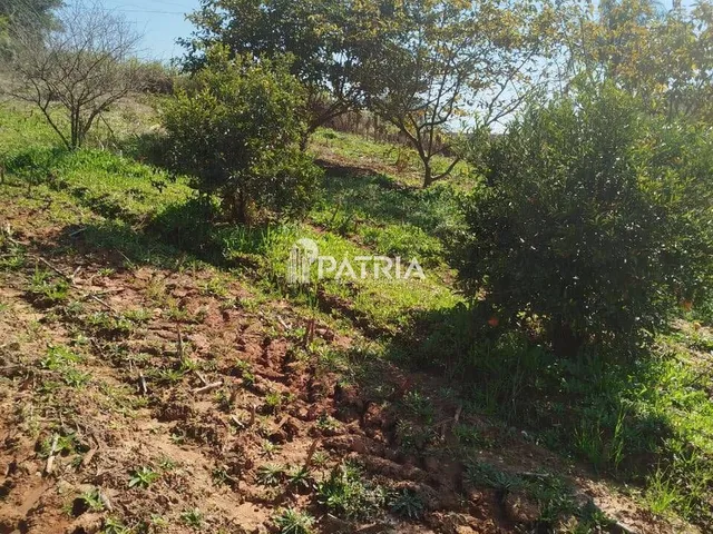 Imagem 3: Chácara na Linha Joao Alves