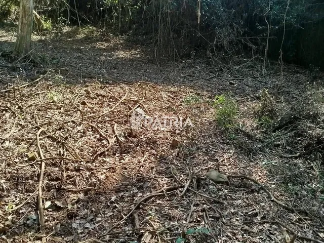 Imagem 4: Chácara na Linha Joao Alves