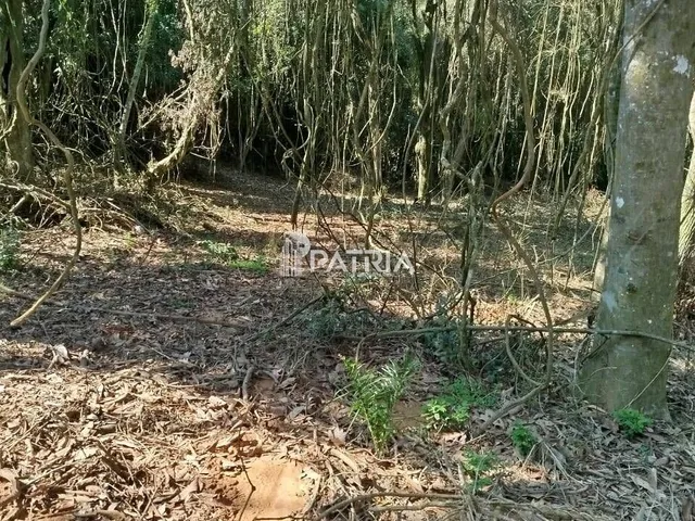 Imagem 8: Chácara na Linha Joao Alves