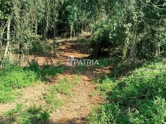 Imagem 11: Chácara na Linha Joao Alves