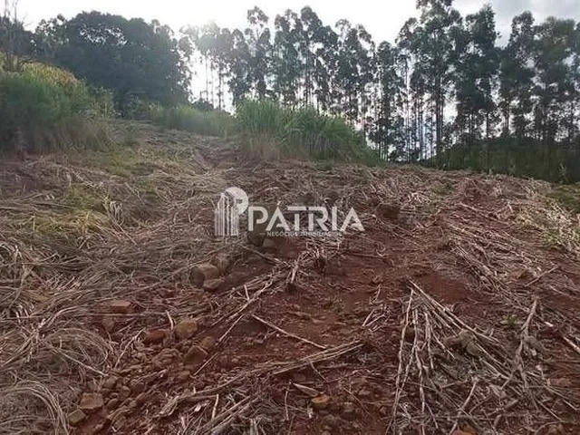 Imagem: Chácara sem benfeitorias em São Martinho