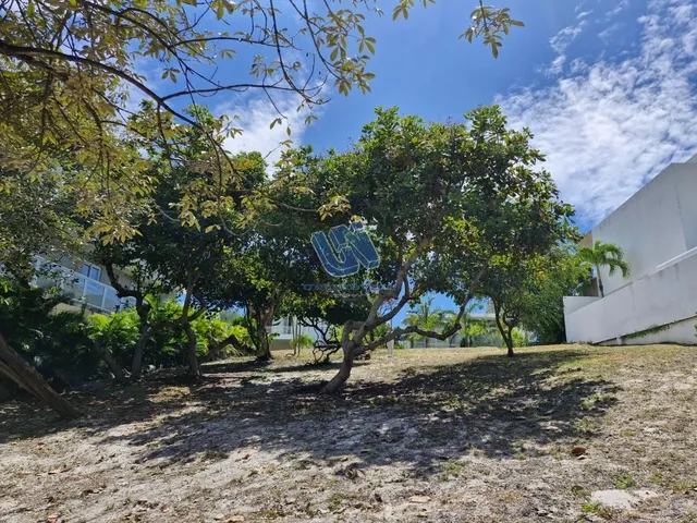 Imagem 13: Terreno em condomínio com 900m2 em Abrantes - Camaçari