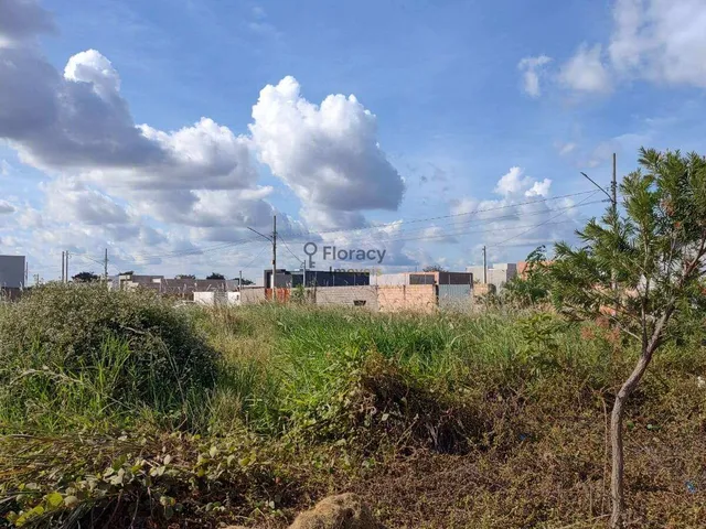 Imagem: TERRENO À VENDA NO PARQUE AMAZONAS