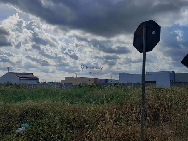 Imagem 5: TERRENO À VENDA NO PARQUE AMAZONAS