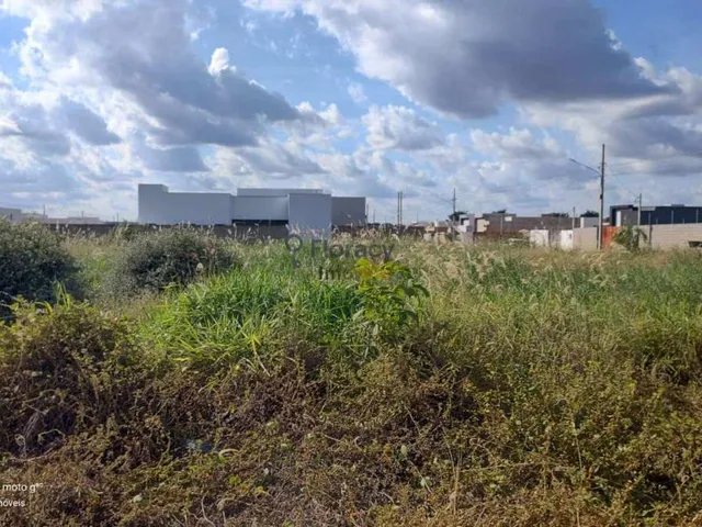 Imagem 6: TERRENO À VENDA NO PARQUE AMAZONAS