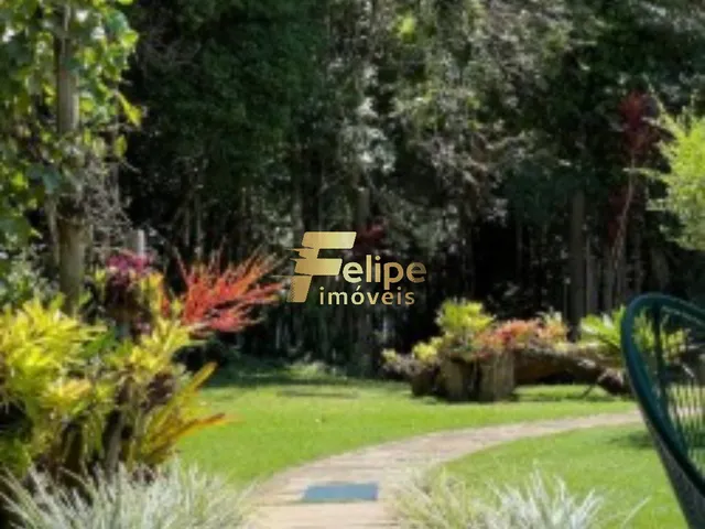 Imagem 8: EXCELENTE TERRENO COM 1.200 M2, 700 M2 DE PLATÔ, À VENDA EM DOMINGOS MARTINS/ES!