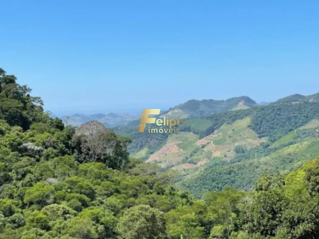 Imagem 6: EXCELENTE TERRENO COM 1.200 M2, 700 M2 DE PLATÔ, À VENDA EM DOMINGOS MARTINS/ES!