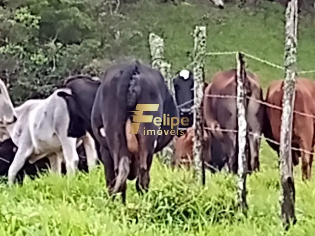 Imagem 8: FAZENDA ESCRITURADA E REGISTRADA