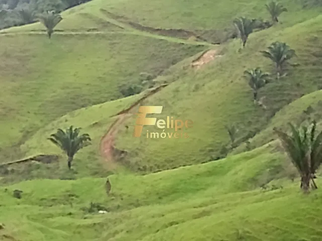 Imagem 7: FAZENDA ESCRITURADA E REGISTRADA